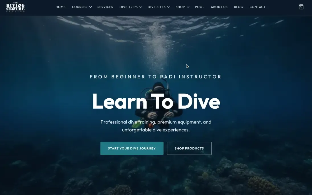 The Diving Centre website built by NE1